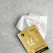 Gleam Coat Protector